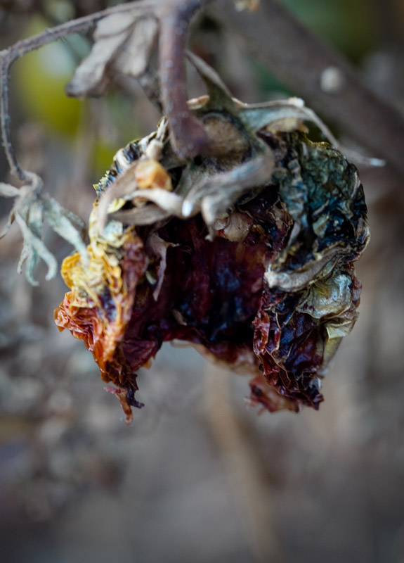 The Colours of Decay