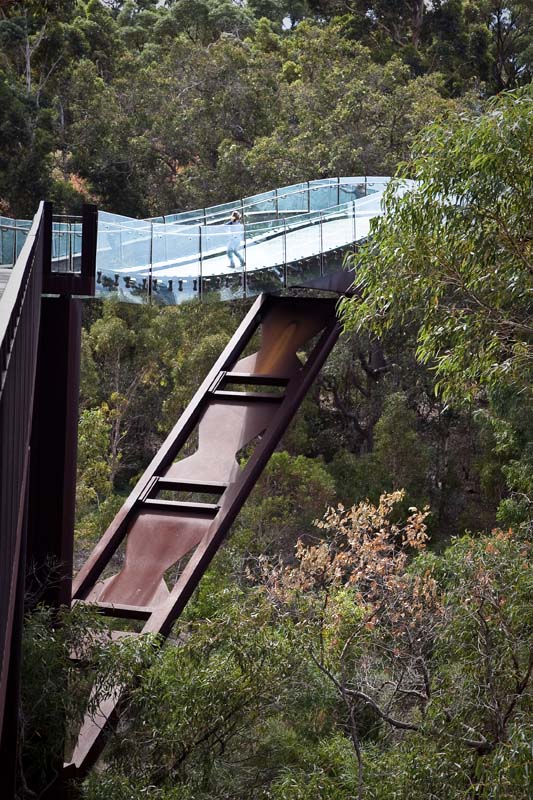 Tree Walk Bridge