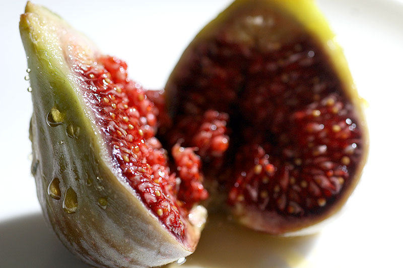 January 30. Fig