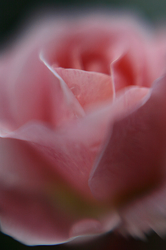  Blur