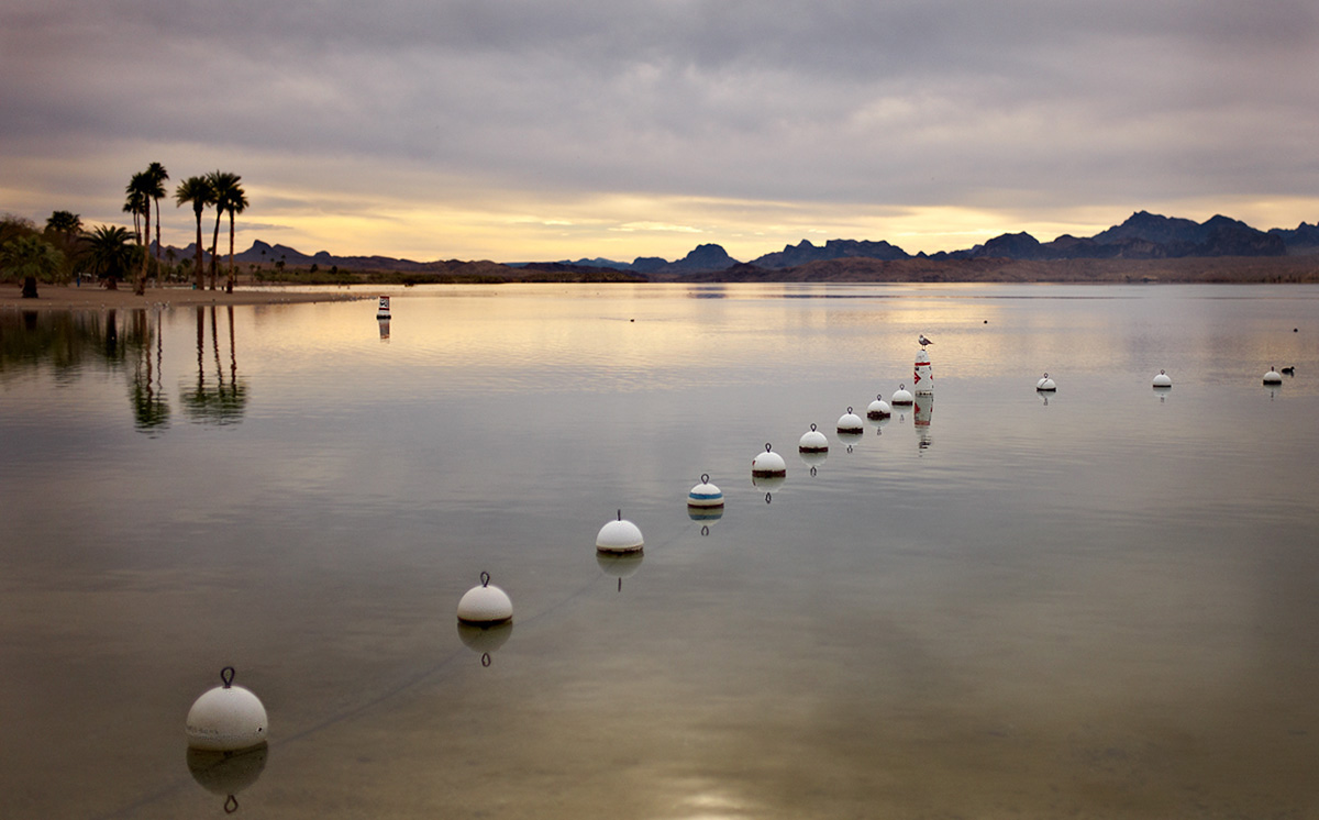 Lake Havasu morning
