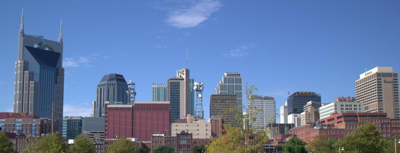 Nashville Skyline