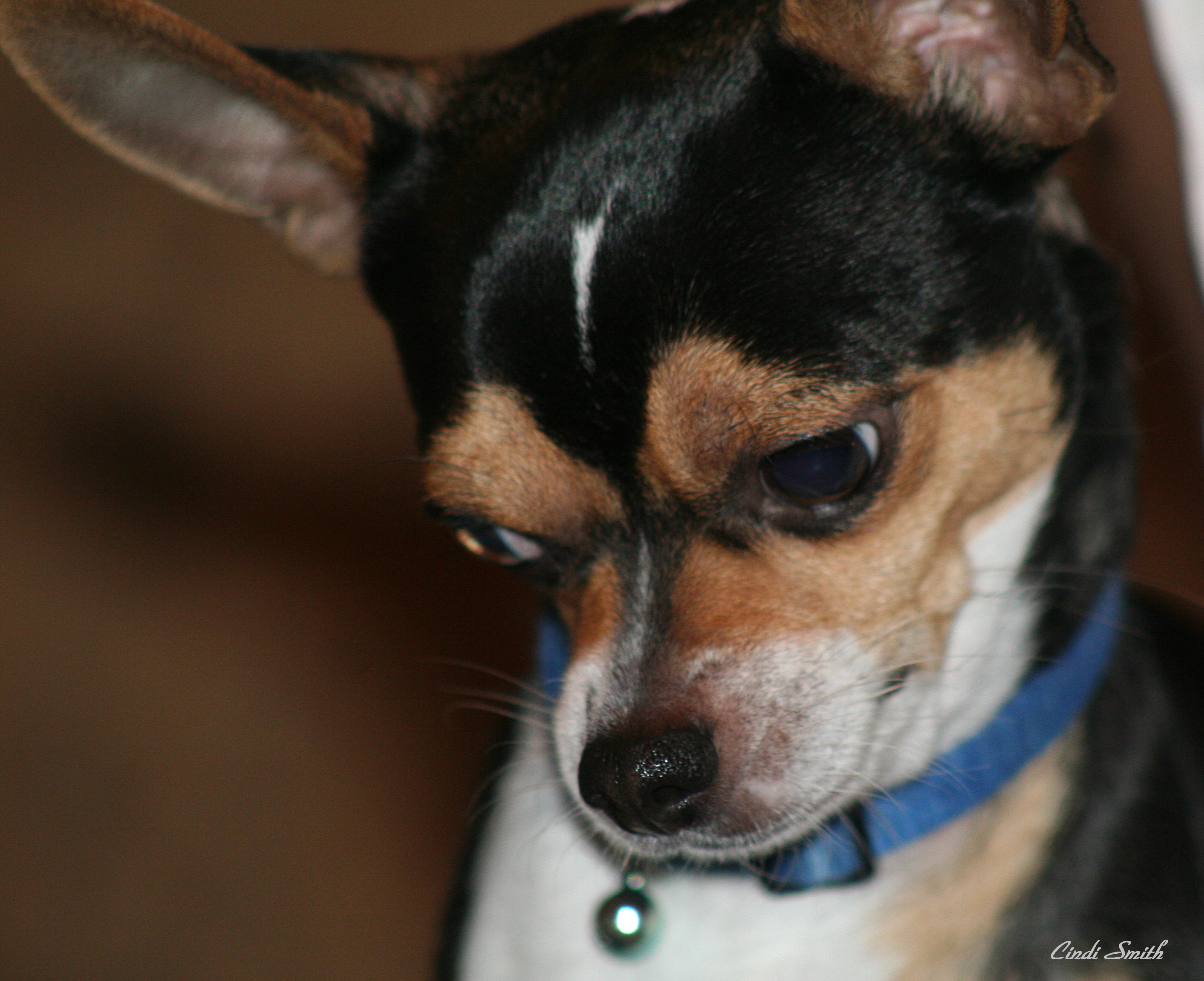 YOU COME ANY CLOSER AND ILL CHEW YOUR FACE OFF!