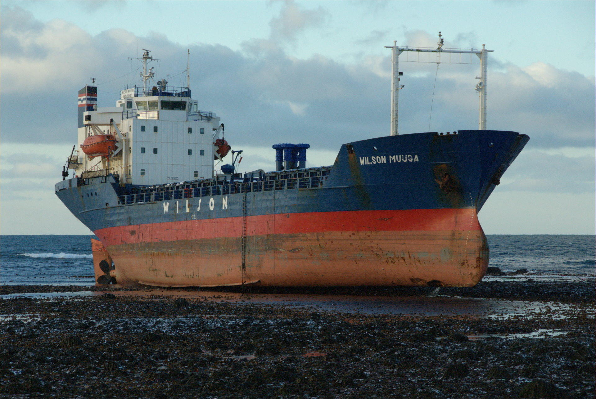 Wilson Muuga