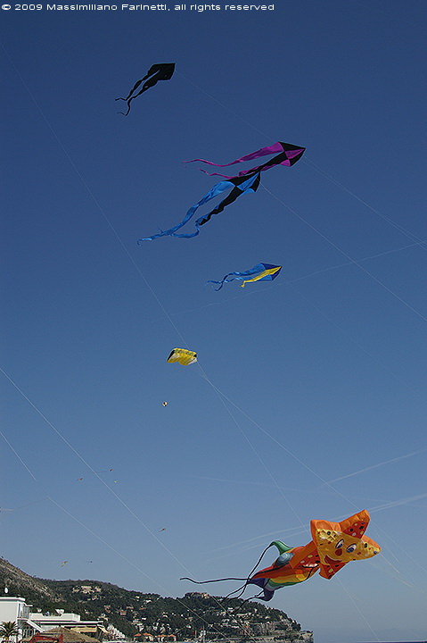 Kite festival