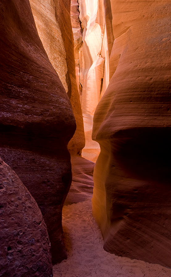 Hall of light and shadow