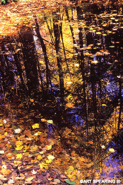 Beaver Lake Autumn Reflection