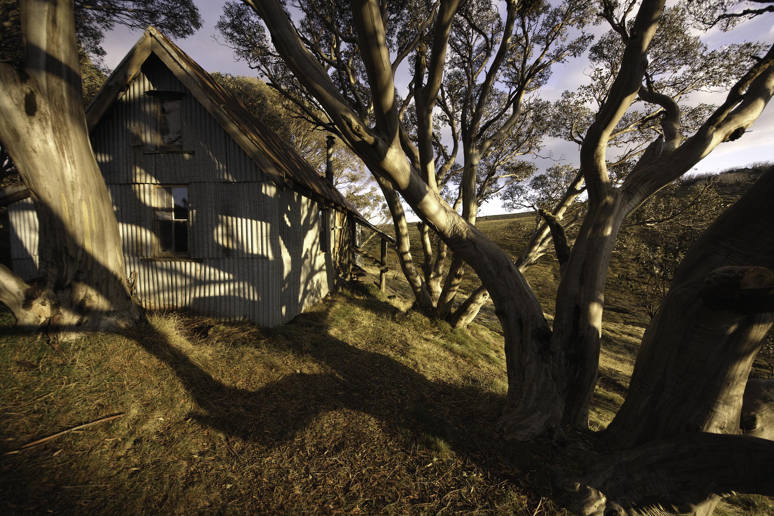 Cope Hut Viewed From South