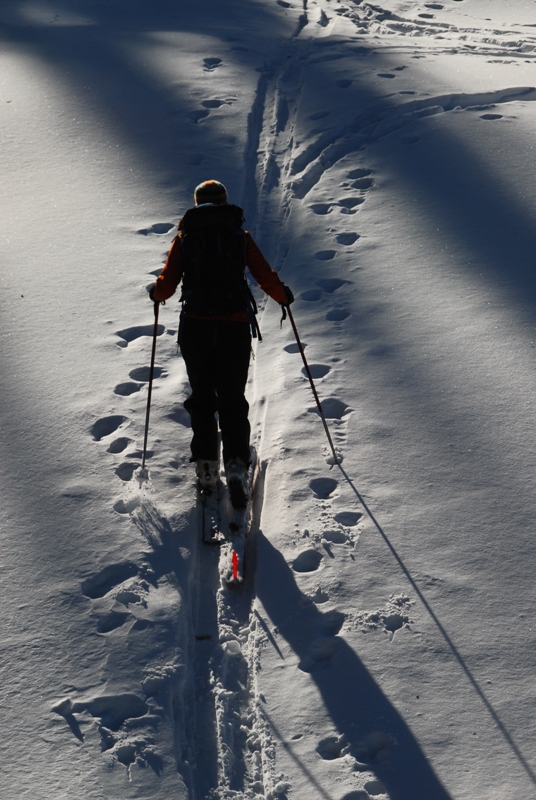 Skiing in Cerise Creek