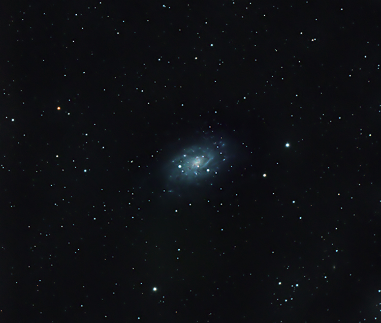 NGC 2403 Spiral Galaxy in Camelopardalis