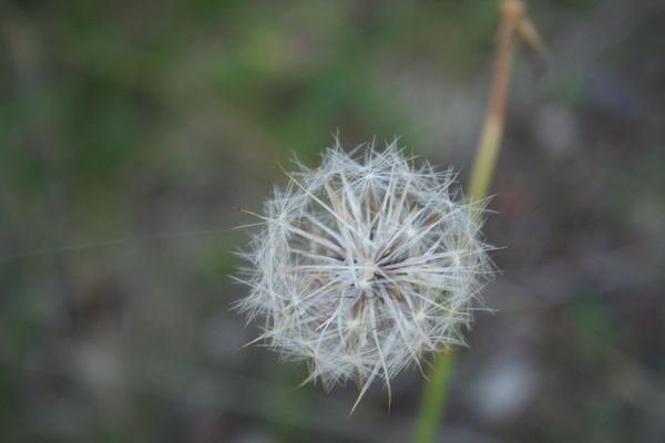 tn_IMG_0760.JPG