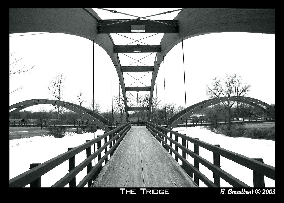 0tridge5x7.jpg