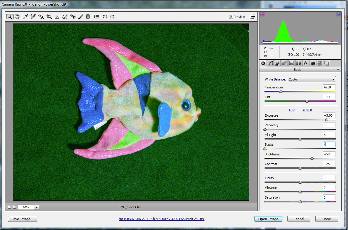G9 fish-3.jpg