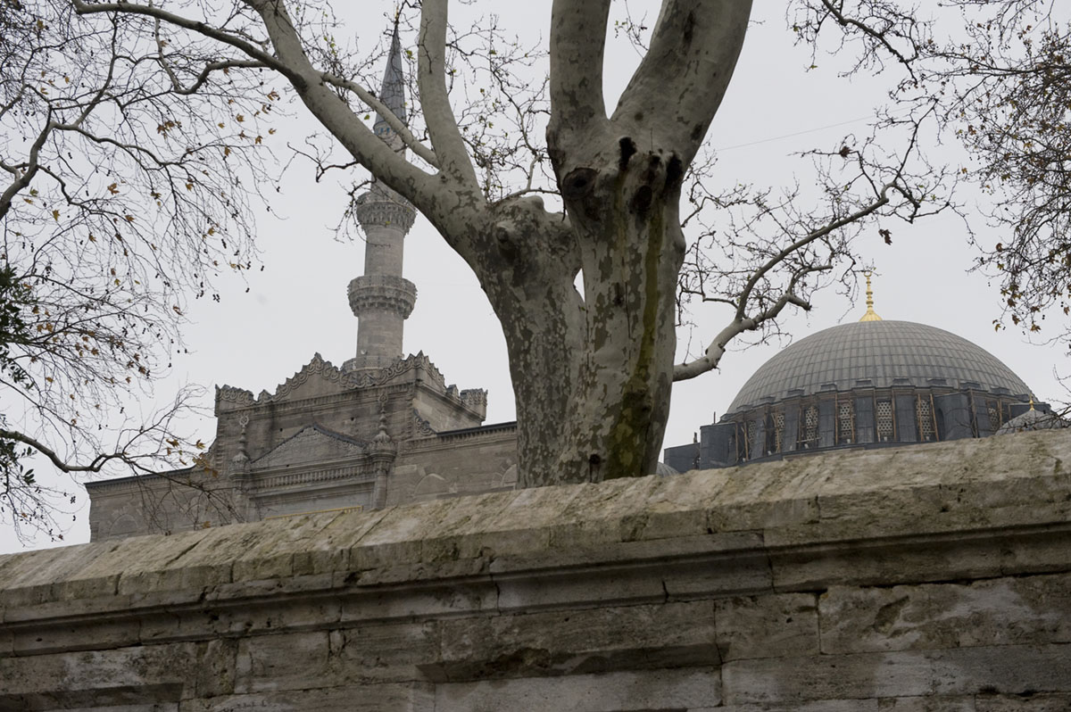 Istanbul december 2009 7057.jpg