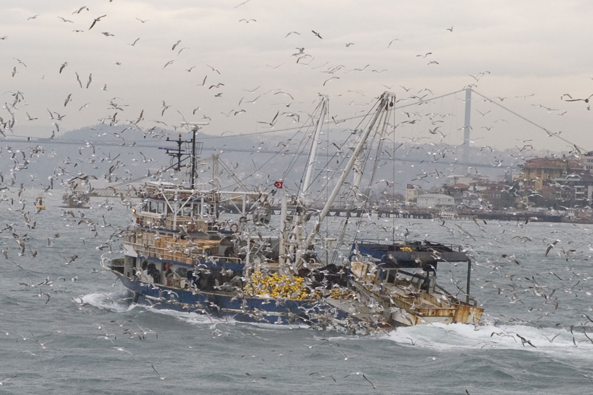 Istanbul december 2009 7130b.jpg