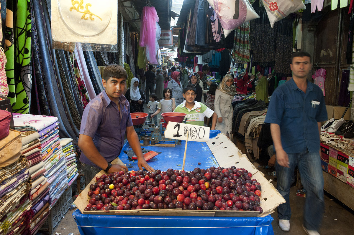 Diyarbakir June 2010 7964.jpg