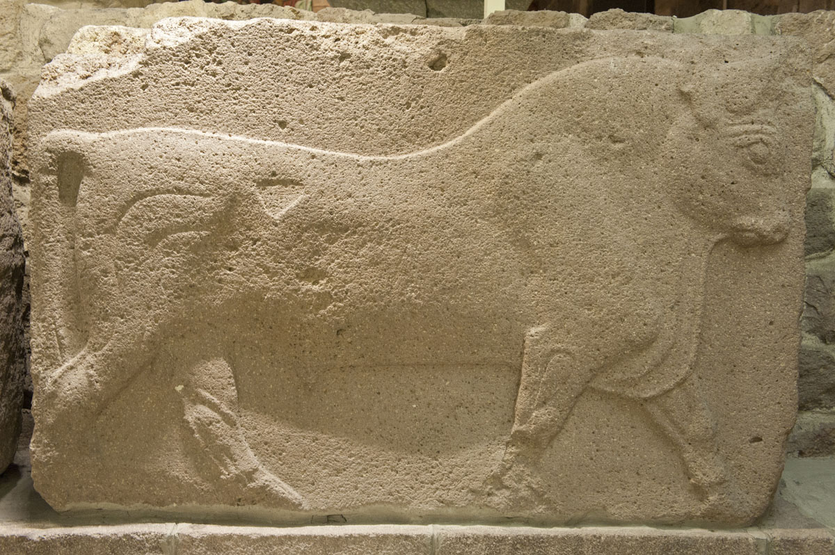 Ankara june 2011 6879.jpg