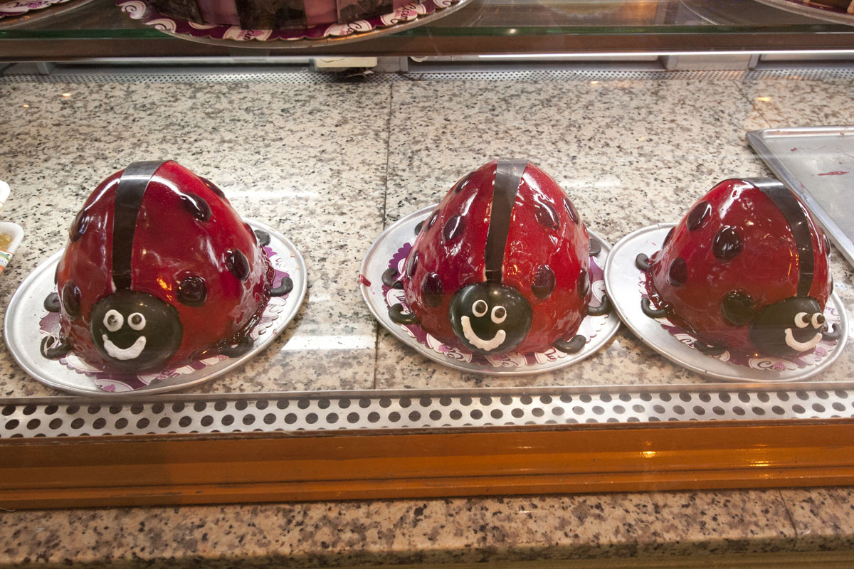 Gaziantep December 2011  2184.jpg
