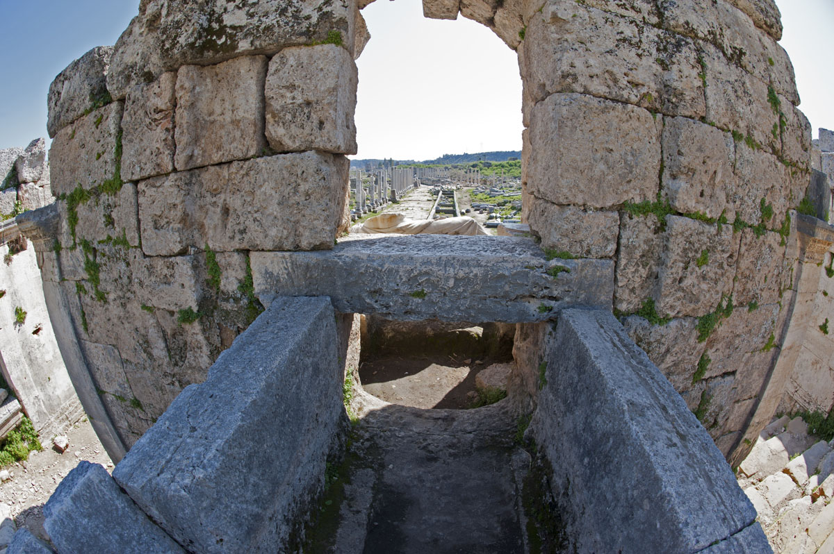 Perge march 2012 3955.jpg