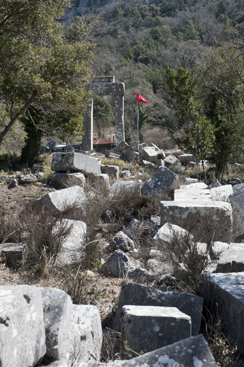 Termessos march 2012 3557.jpg