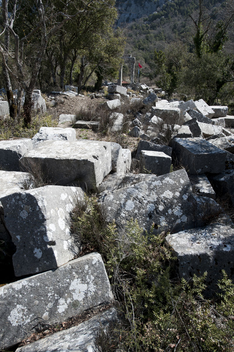 Termessos march 2012 3565.jpg