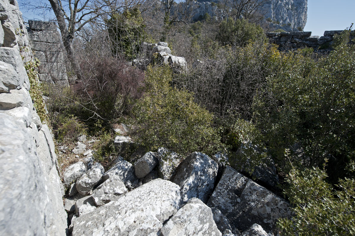 Termessos march 2012 3594.jpg