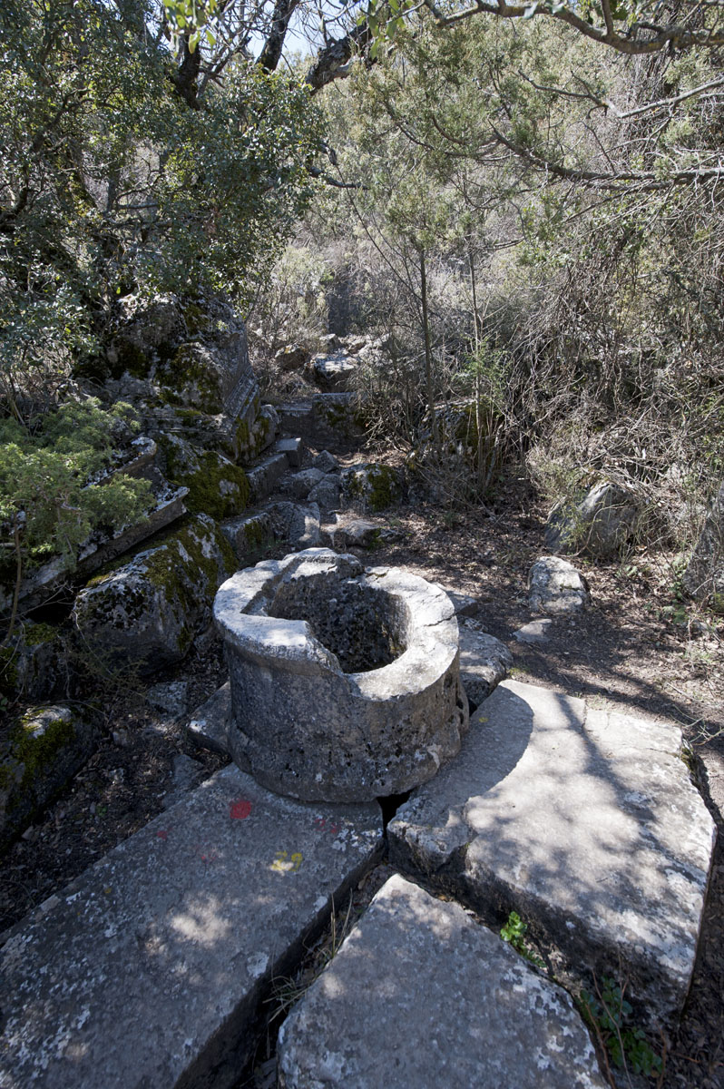 Termessos march 2012 3635.jpg