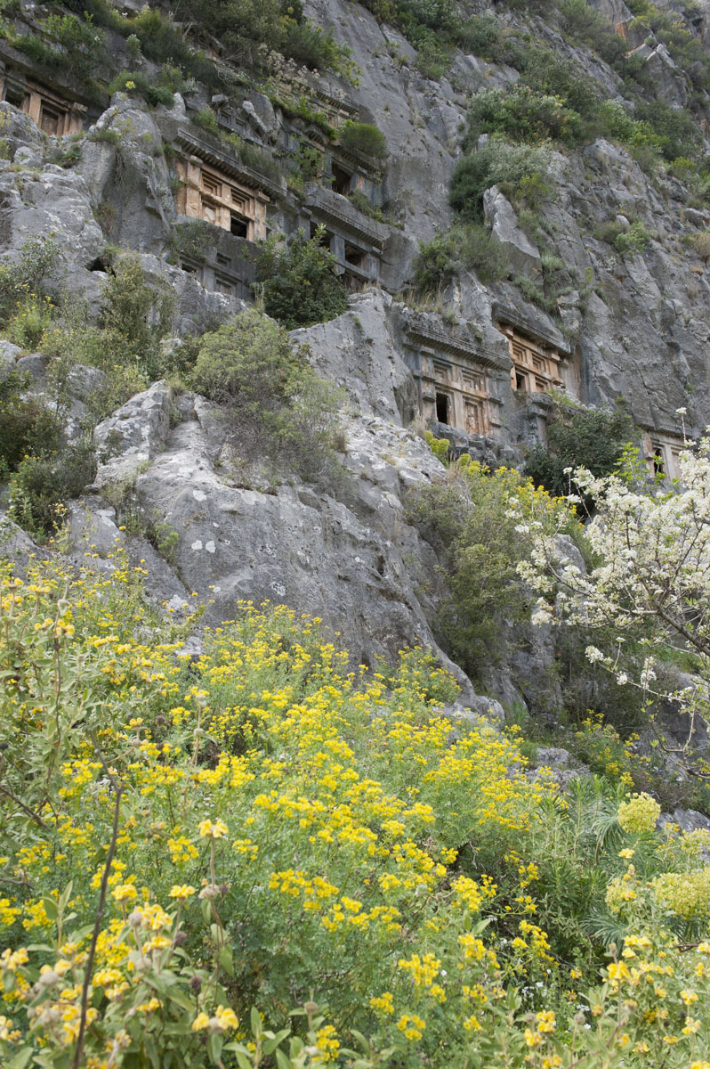 Myra march 2012 5519.jpg