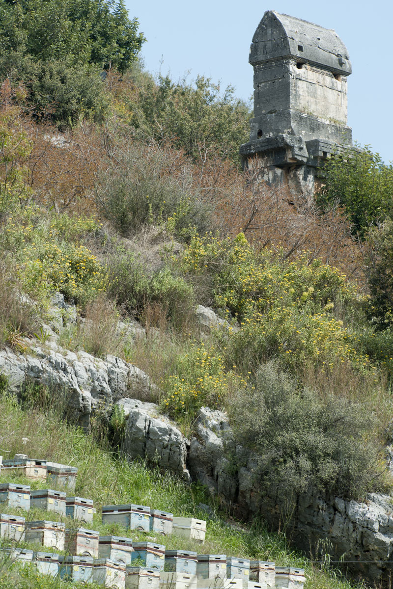 Limyra sarcophagus 5158.jpg