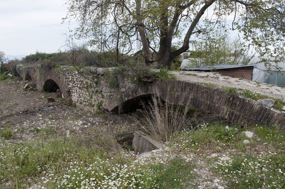 Limyra march 2012 5221.jpg