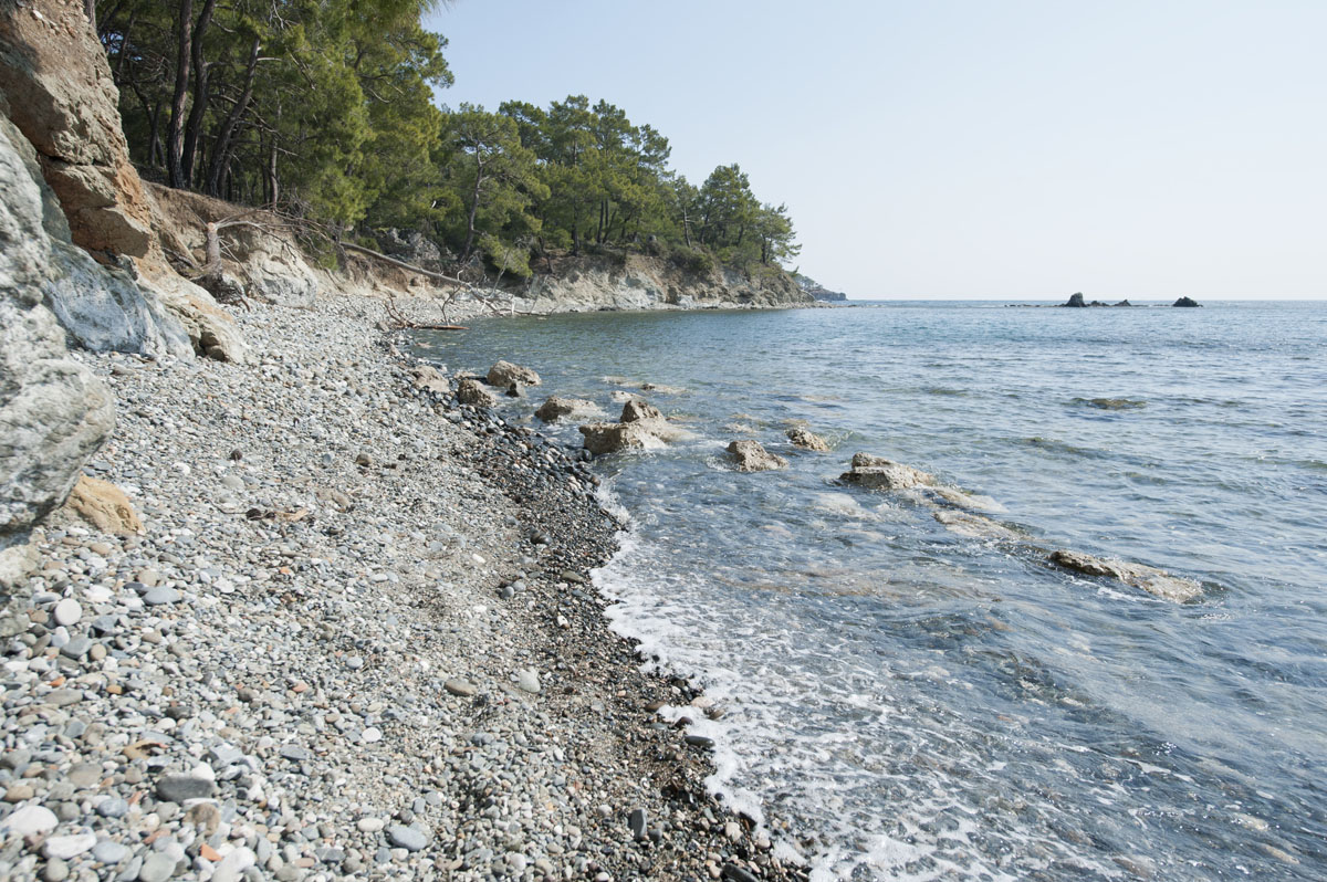 Phaselis march 2012 5252.jpg