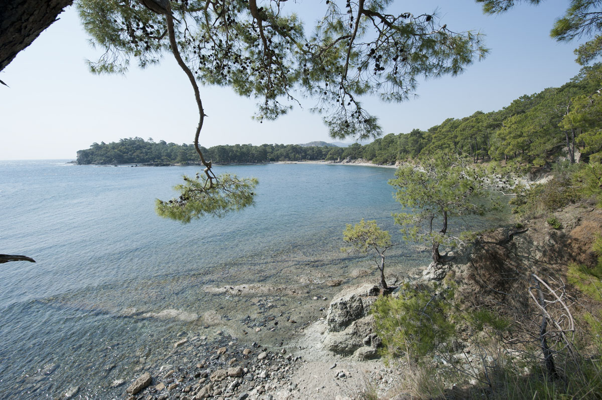 Phaselis march 2012 5257.jpg