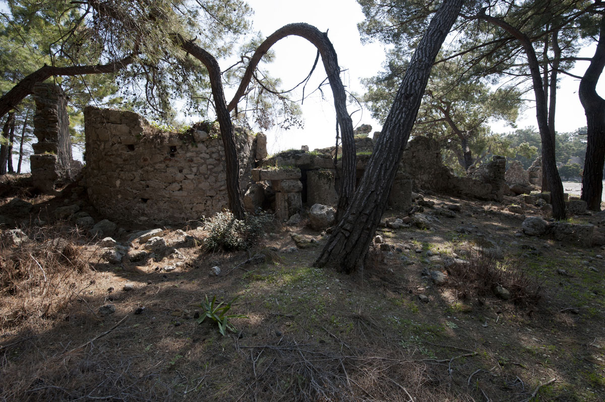 Phaselis march 2012 5263.jpg