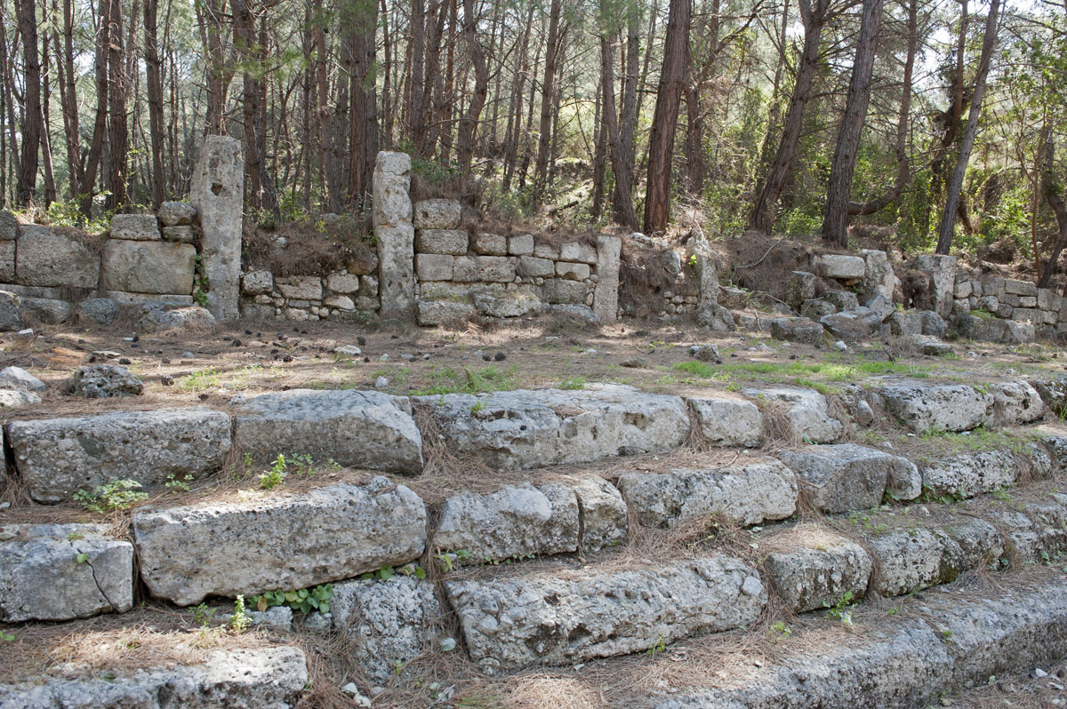 Phaselis march 2012 5302.jpg