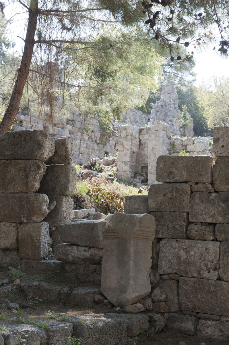 Phaselis march 2012 5303.jpg
