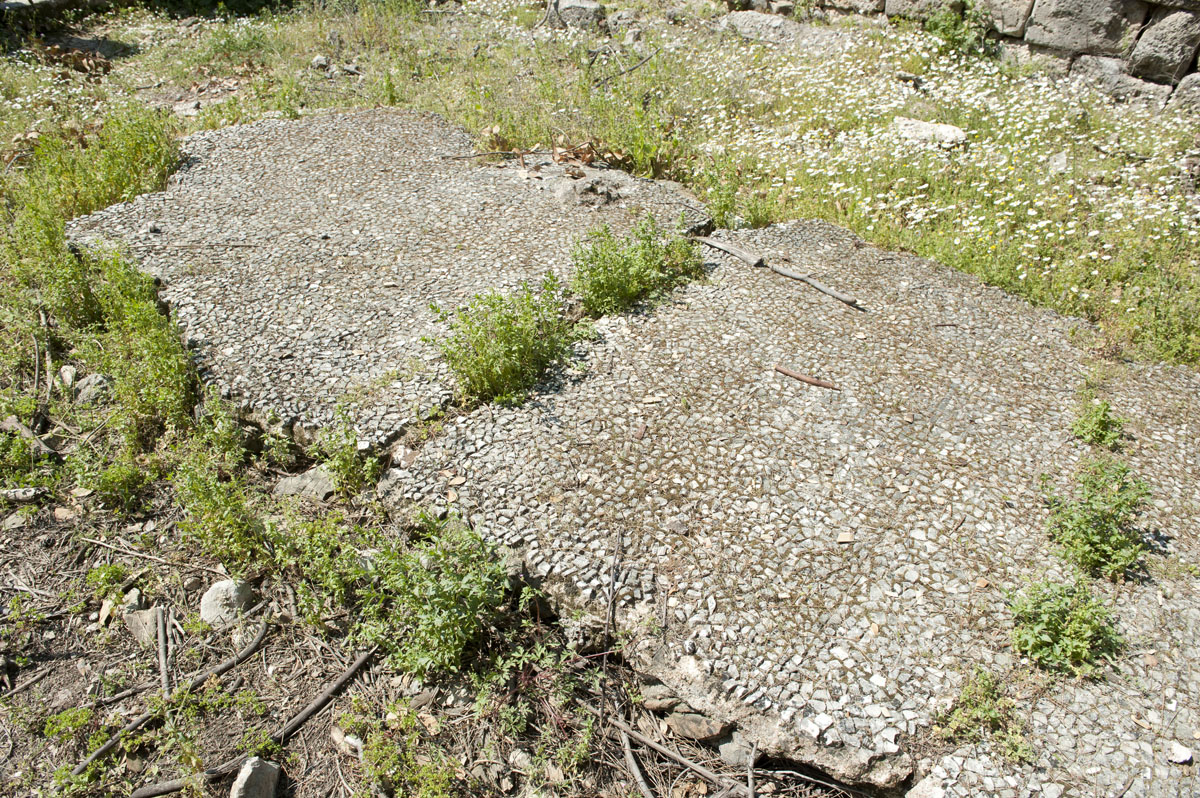 Phaselis march 2012 5304.jpg