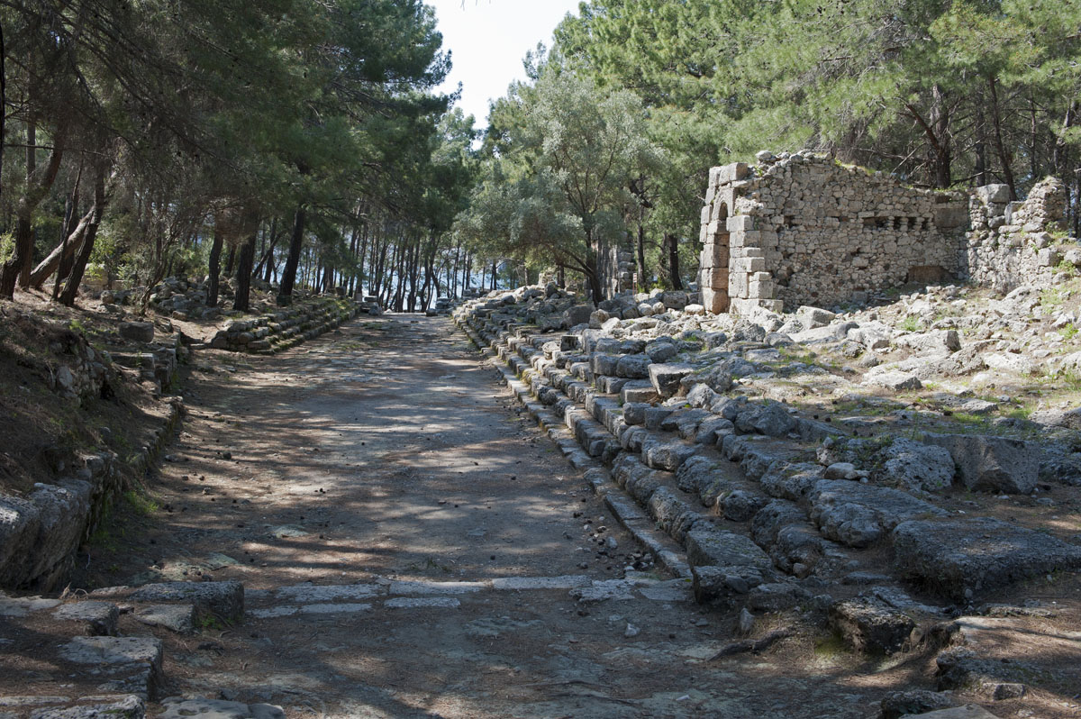 Phaselis march 2012 5308.jpg