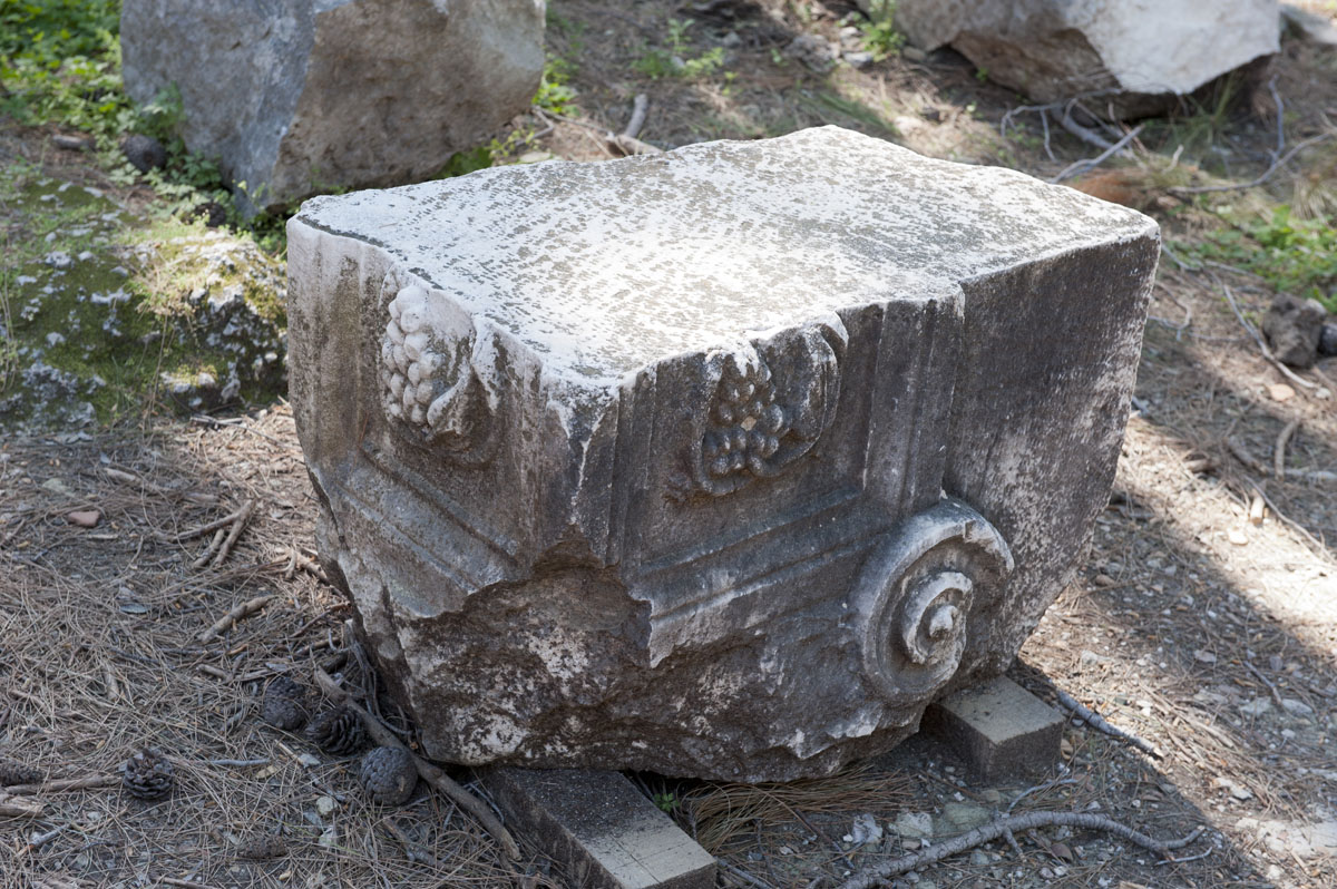 Phaselis march 2012 5316.jpg