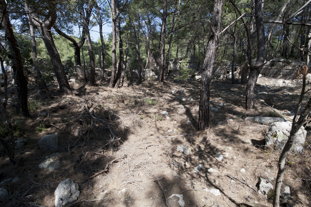 Phaselis march 2012 5326.jpg