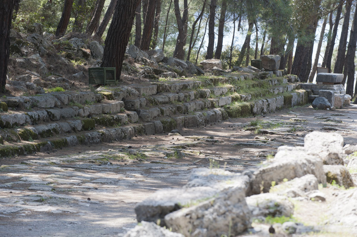 Phaselis march 2012 5350.jpg