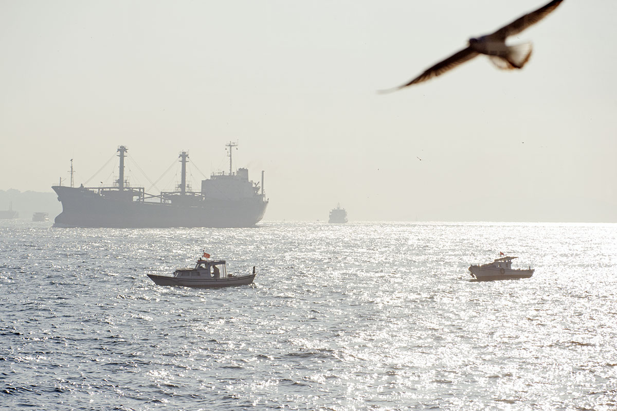 Istanbul december 2012 6164.jpg