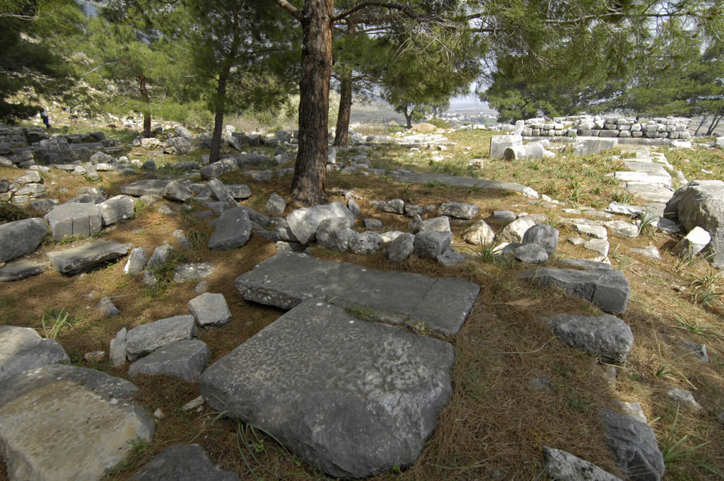 Priene 2007 4192.jpg