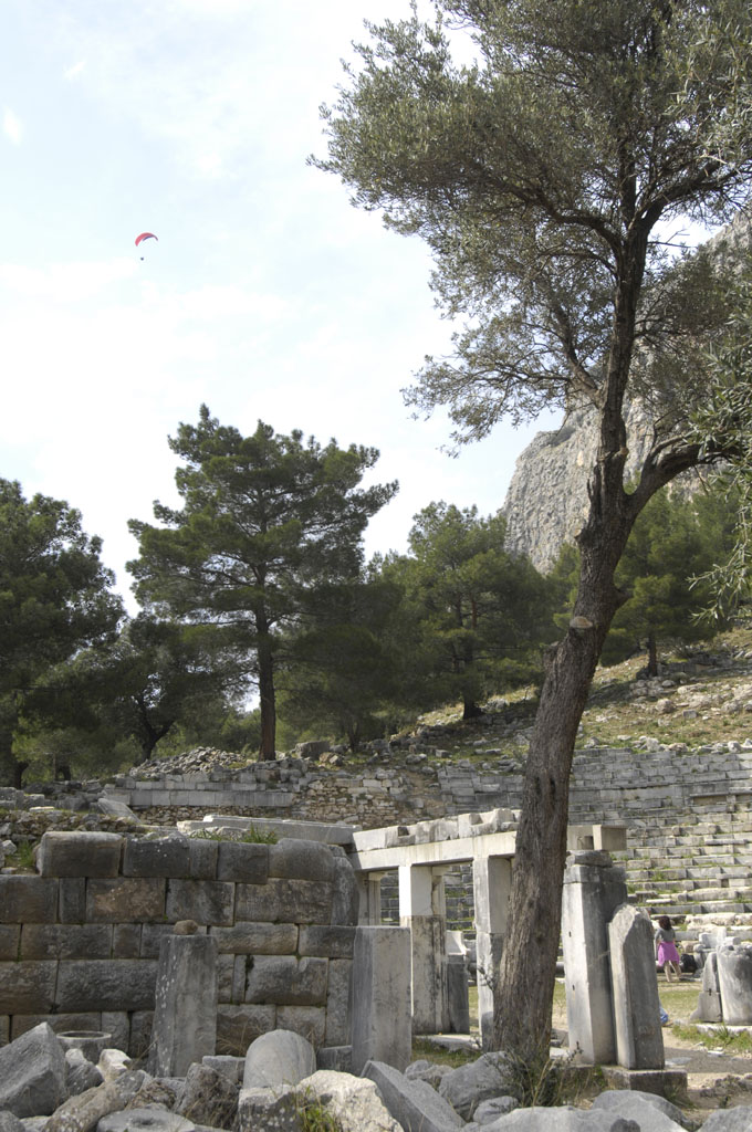 Priene 2007 4194.jpg