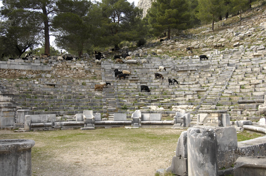 Priene 2007 4195.jpg