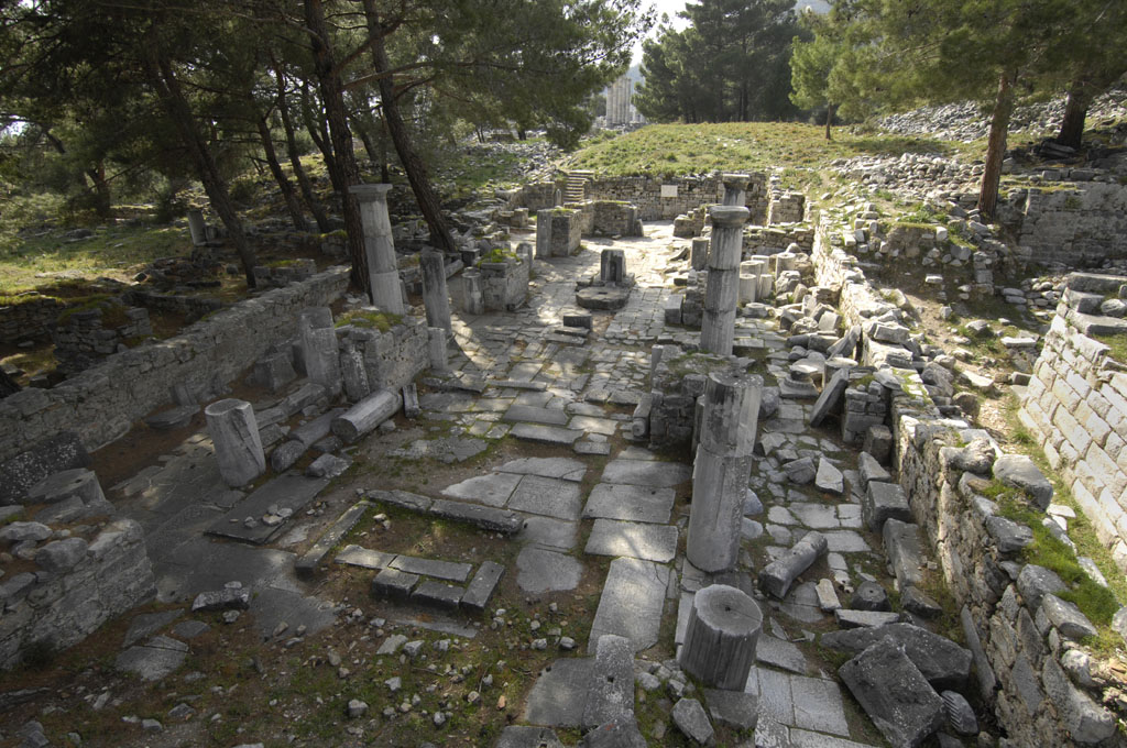 Priene 2007 4237.jpg