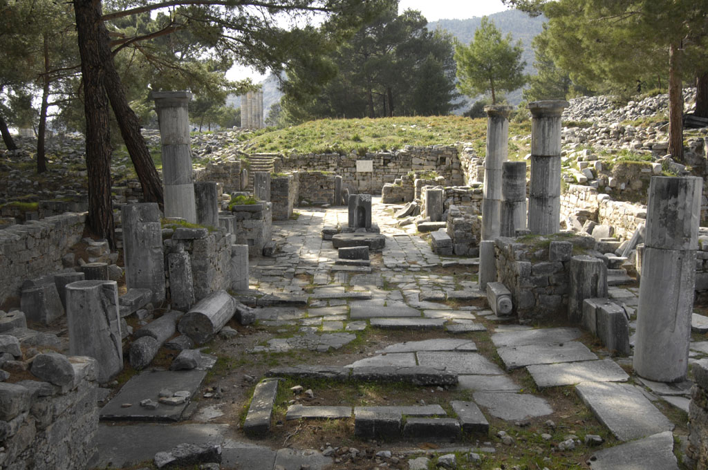 Priene 2007 4238.jpg