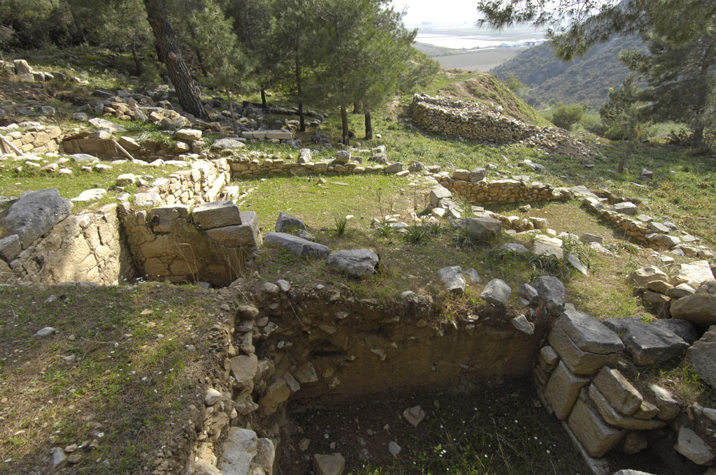 Priene 2007 4270.jpg