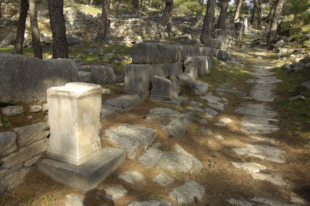 Priene 2007 4274.jpg