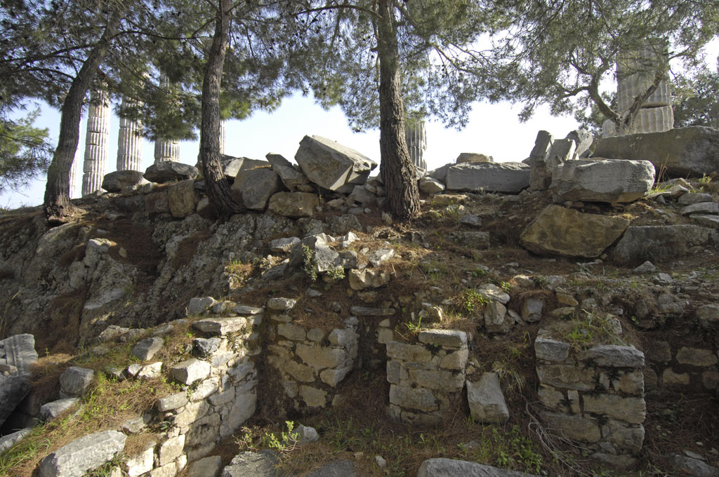 Priene 2007 4280.jpg