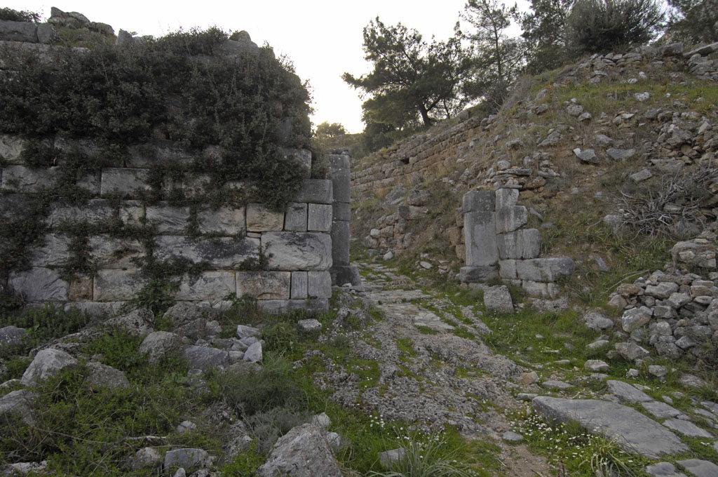 Priene 2007 4358.jpg